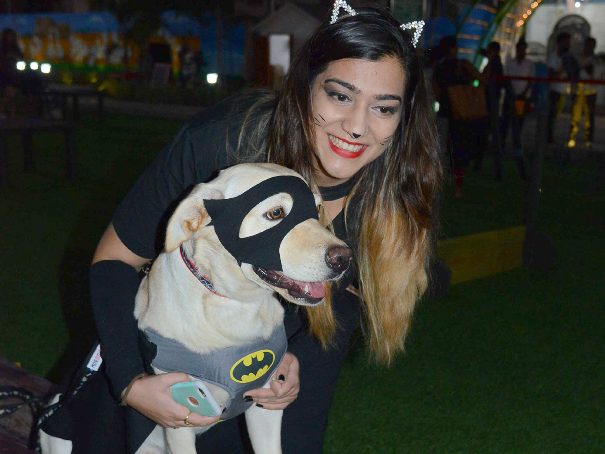 Halloween for Dogs at Dog Park Photo Gallery - Sakshi3