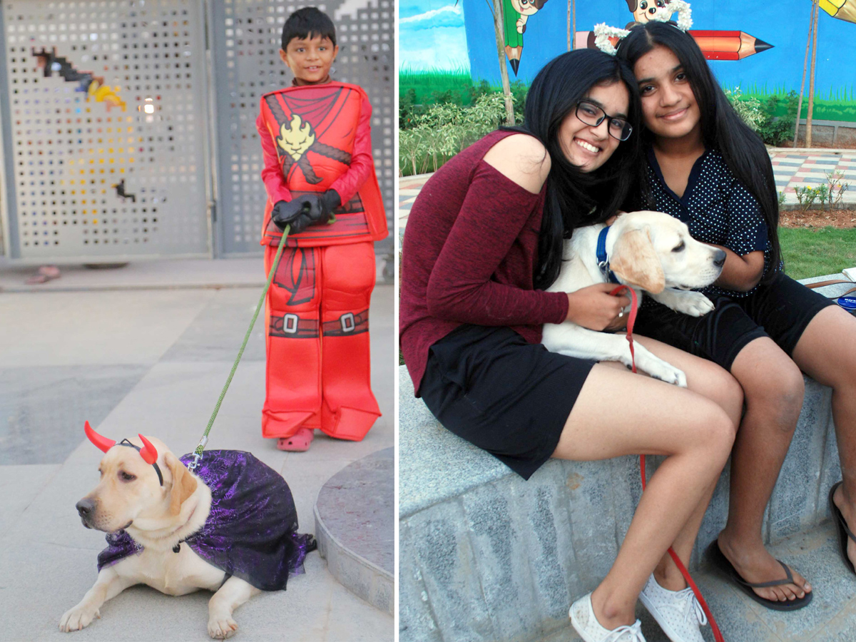 Halloween for Dogs at Dog Park Photo Gallery - Sakshi22