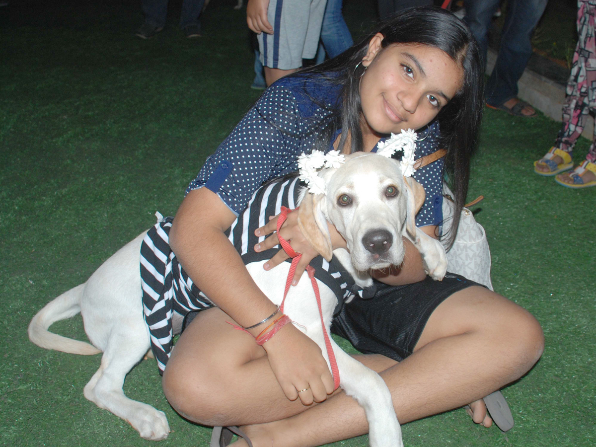 Halloween for Dogs at Dog Park Photo Gallery - Sakshi4