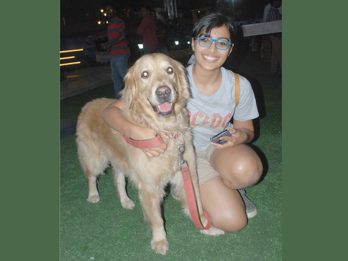 Halloween for Dogs at Dog Park Photo Gallery - Sakshi6