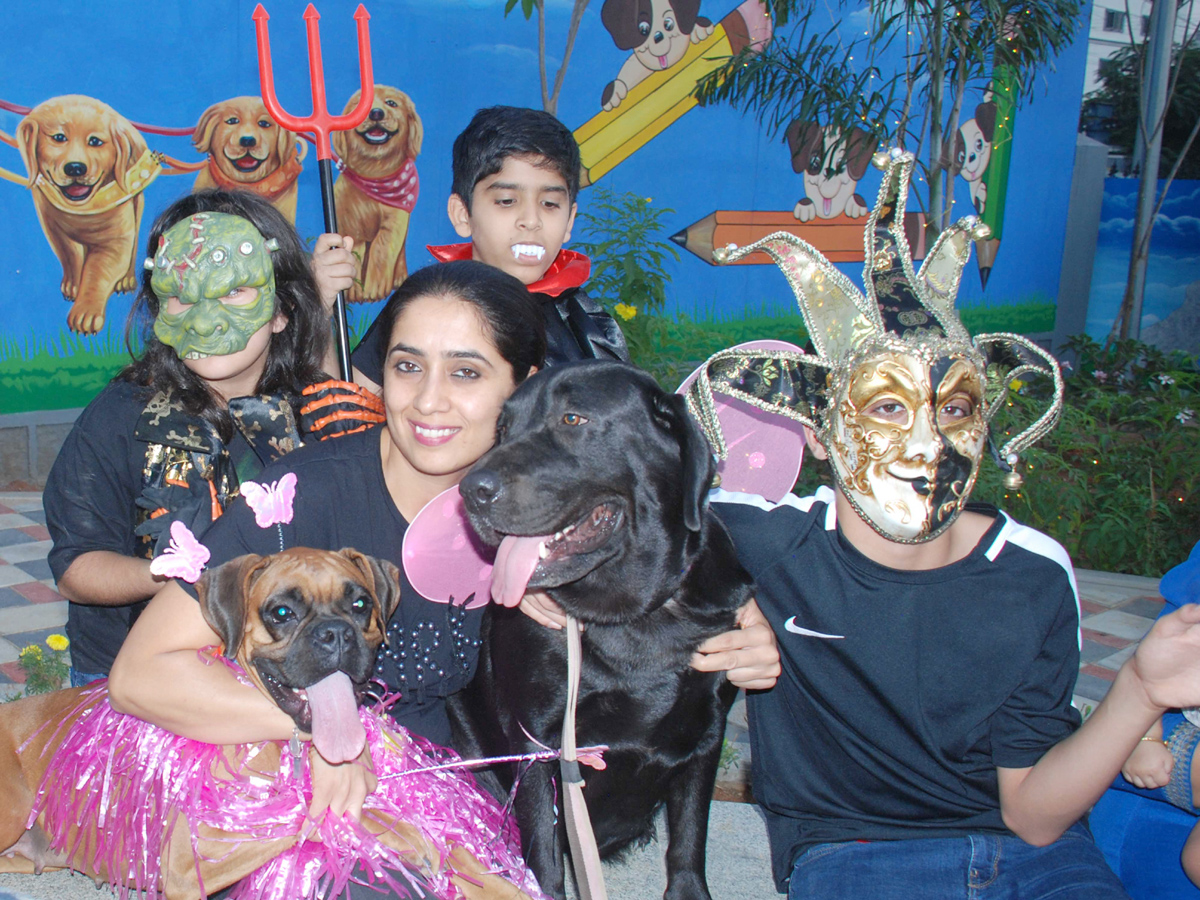 Halloween for Dogs at Dog Park Photo Gallery - Sakshi8