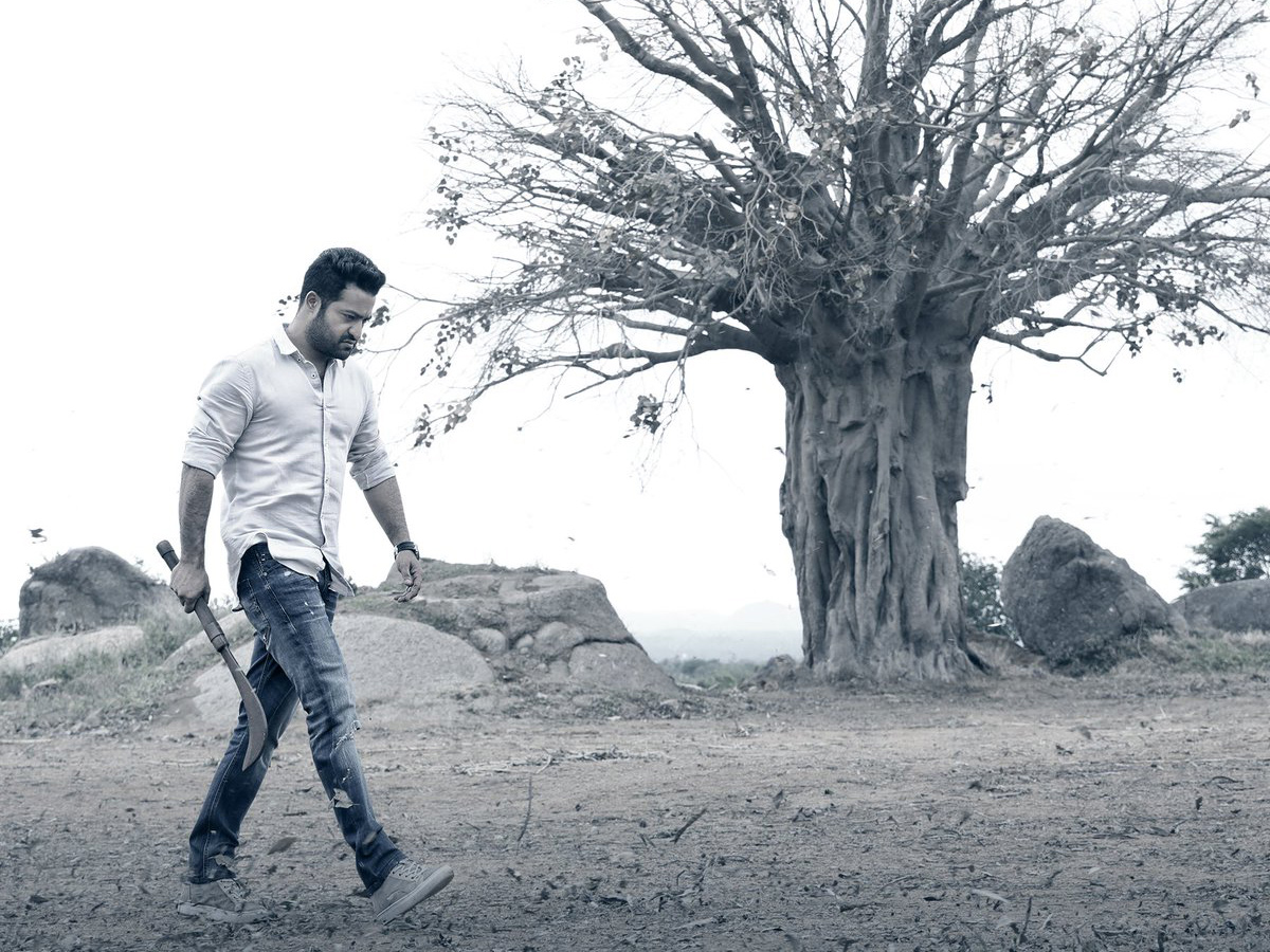 Aravindha Sametha NTR Stills HD Photo Gallery - Sakshi11