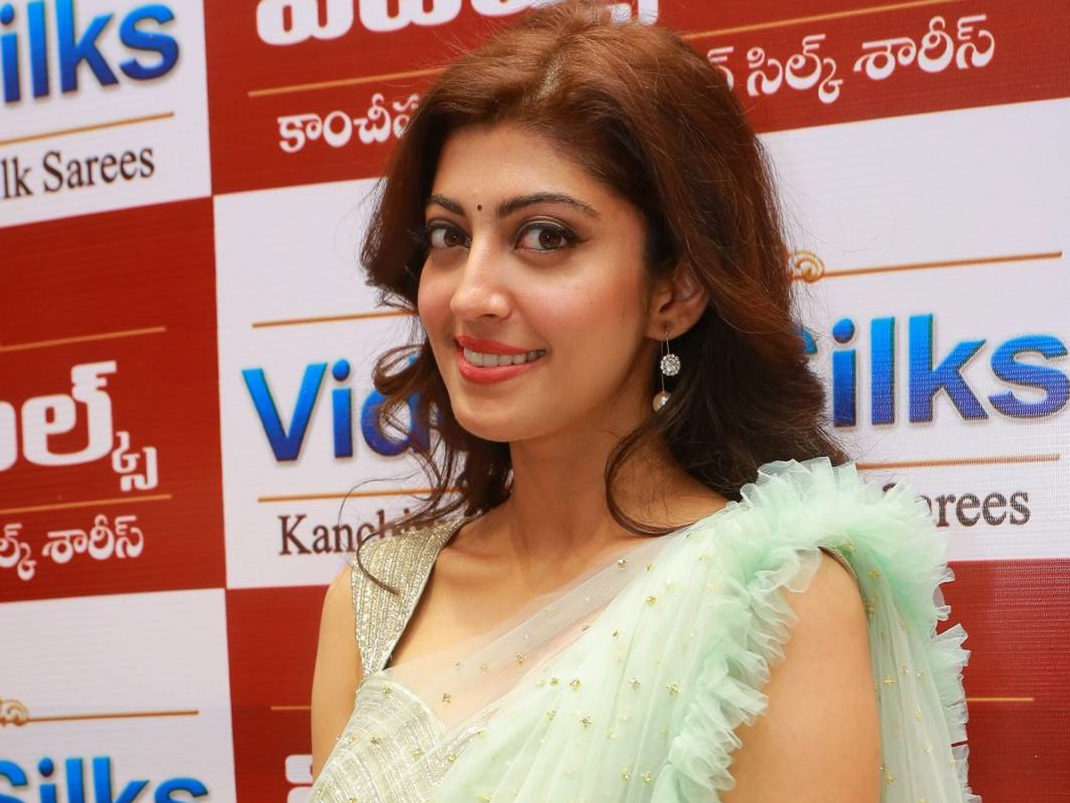 Pranitha Subhash Inaugurates Videms Silks Showroom - Sakshi6