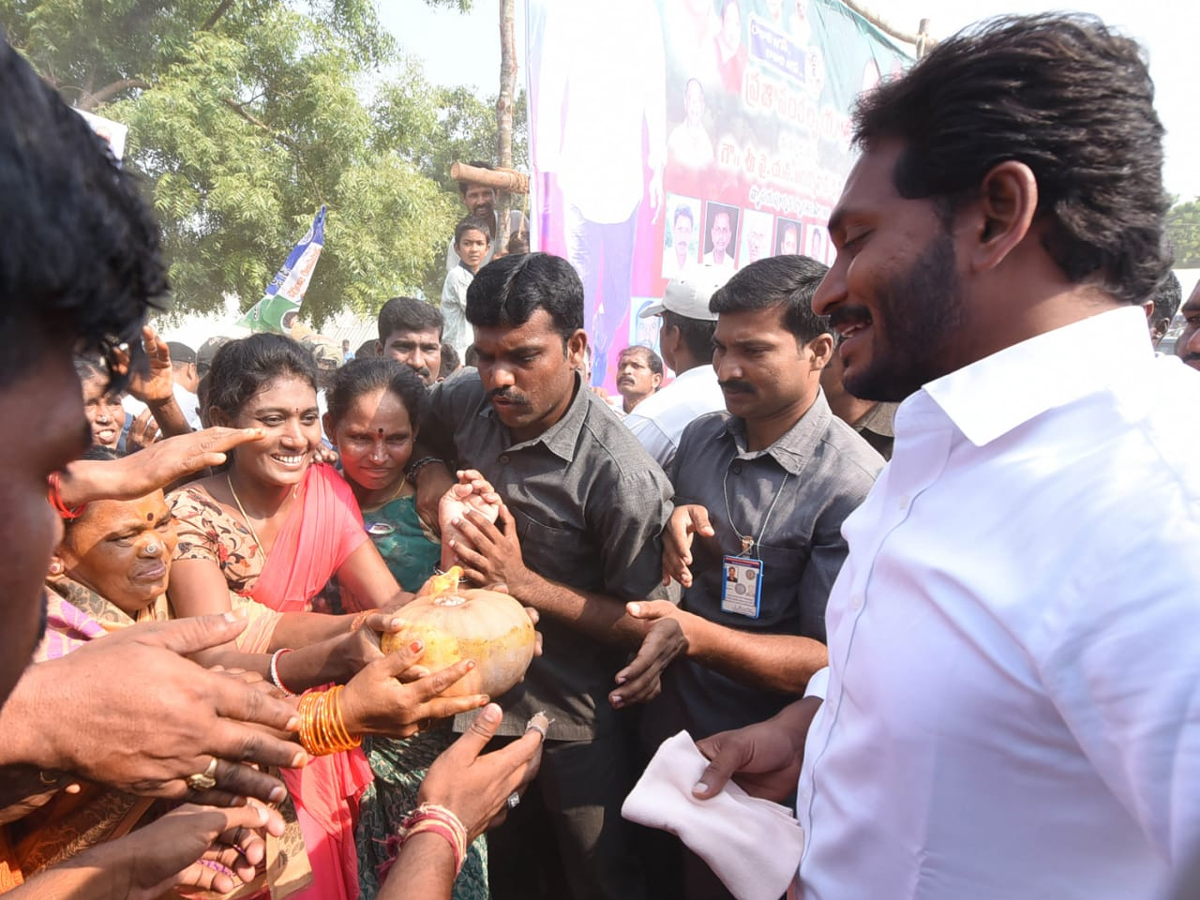 YS Jagan PrajaSankalpaYatra Day 280th Photo Gallery - Sakshi8