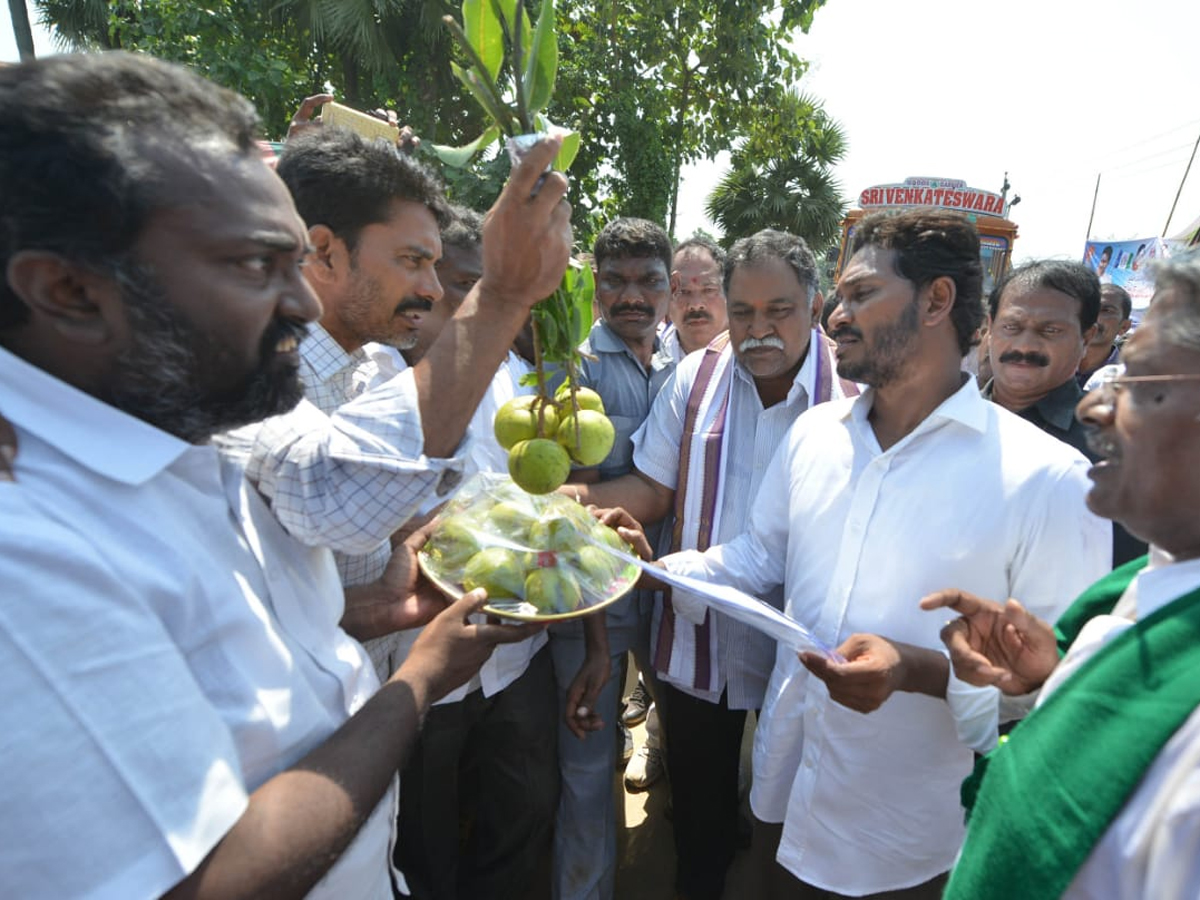 YS Jagan PrajaSankalpaYatra Day 281 Photo Gallery - Sakshi15