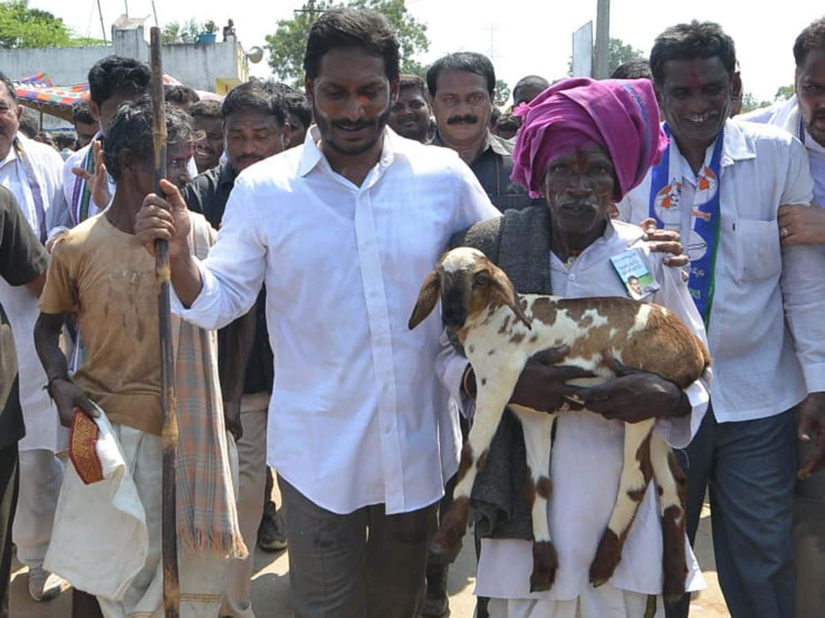 YS Jagan PrajaSankalpaYatra Day 281 Photo Gallery - Sakshi17