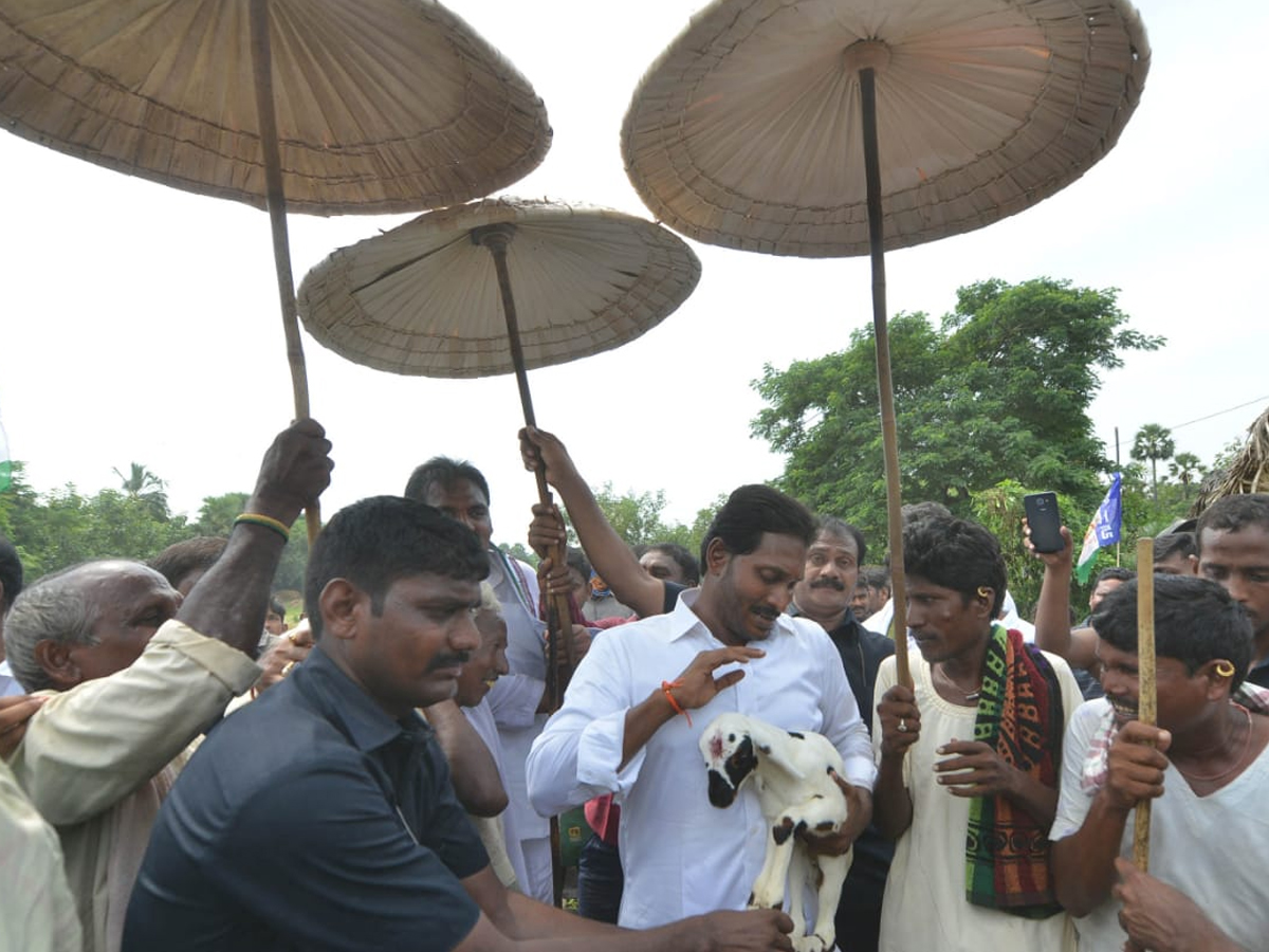 YS Jagan PrajaSankalpaYatra Day 282 Photo Gallery - Sakshi13