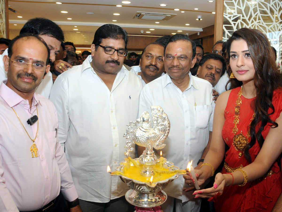 Payal Rajput Inaugurates A Gold & Daimond Show Room in Ongole Photo Gallery - Sakshi10