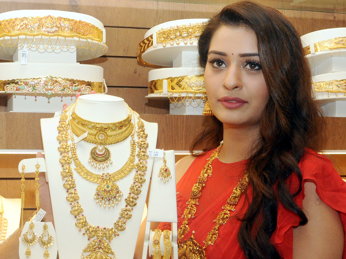 Payal Rajput Inaugurates A Gold & Daimond Show Room in Ongole Photo Gallery - Sakshi6