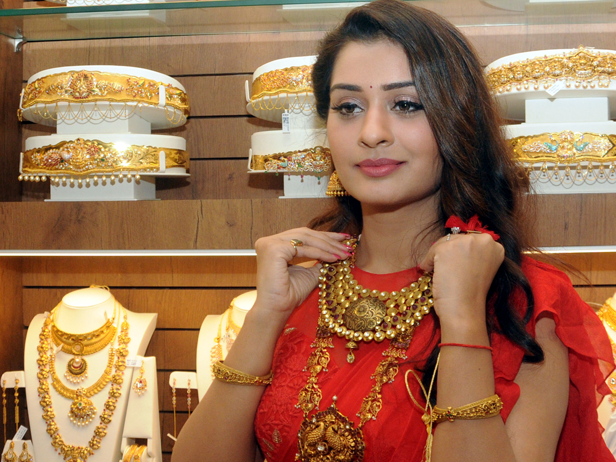 Payal Rajput Inaugurates A Gold & Daimond Show Room in Ongole Photo Gallery - Sakshi7