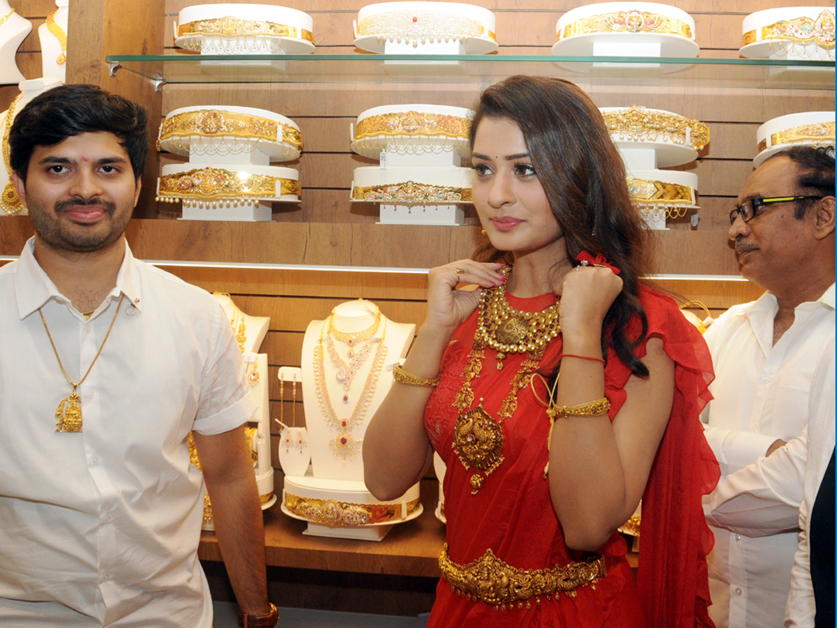 Payal Rajput Inaugurates A Gold & Daimond Show Room in Ongole Photo Gallery - Sakshi8