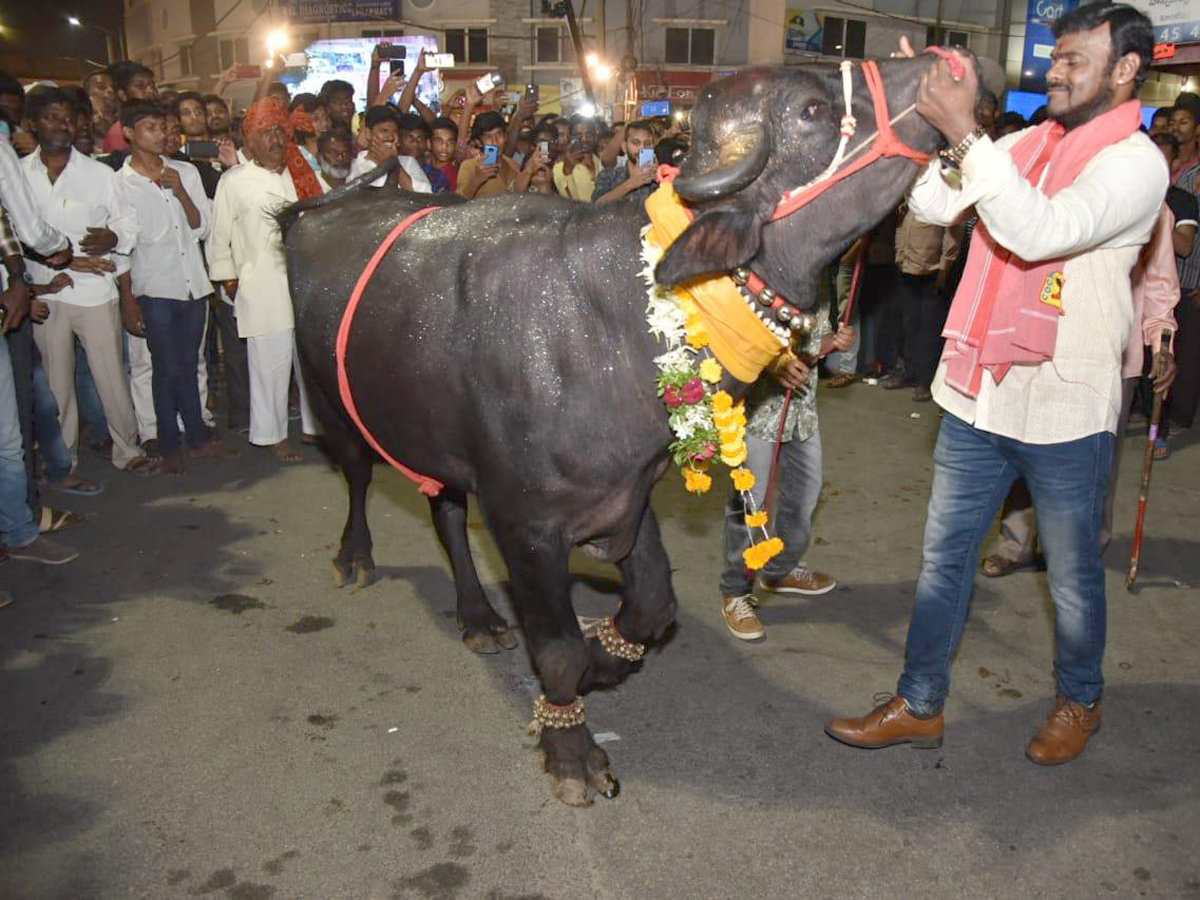 Sadar Festival Celebrations Photo Gallery - Sakshi2