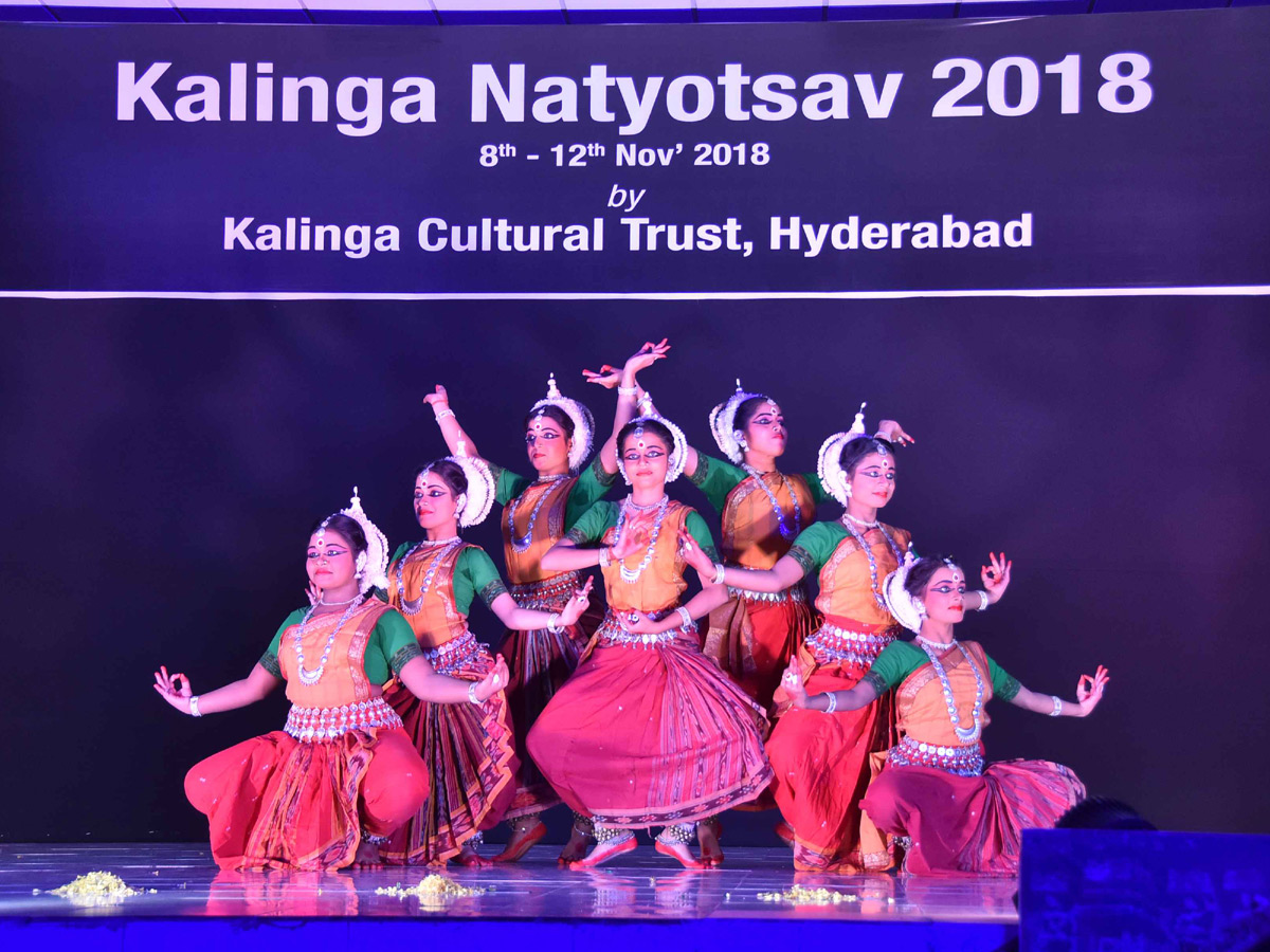 Dance Festival Natyotsav 2018 Organised by Kalinga Cultural  - Sakshi14