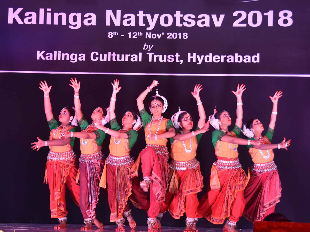 Dance Festival Natyotsav 2018 Organised by Kalinga Cultural  - Sakshi15