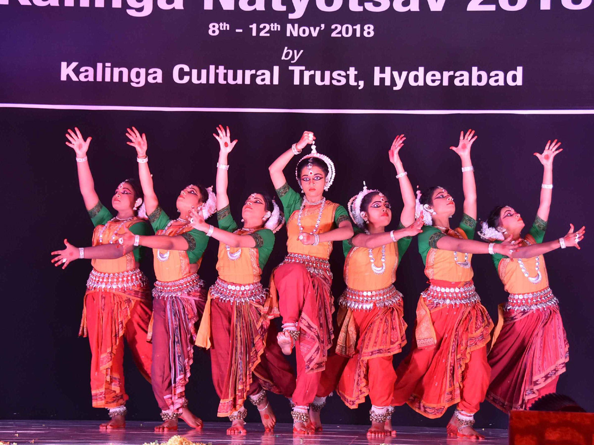 Dance Festival Natyotsav 2018 Organised by Kalinga Cultural  - Sakshi16