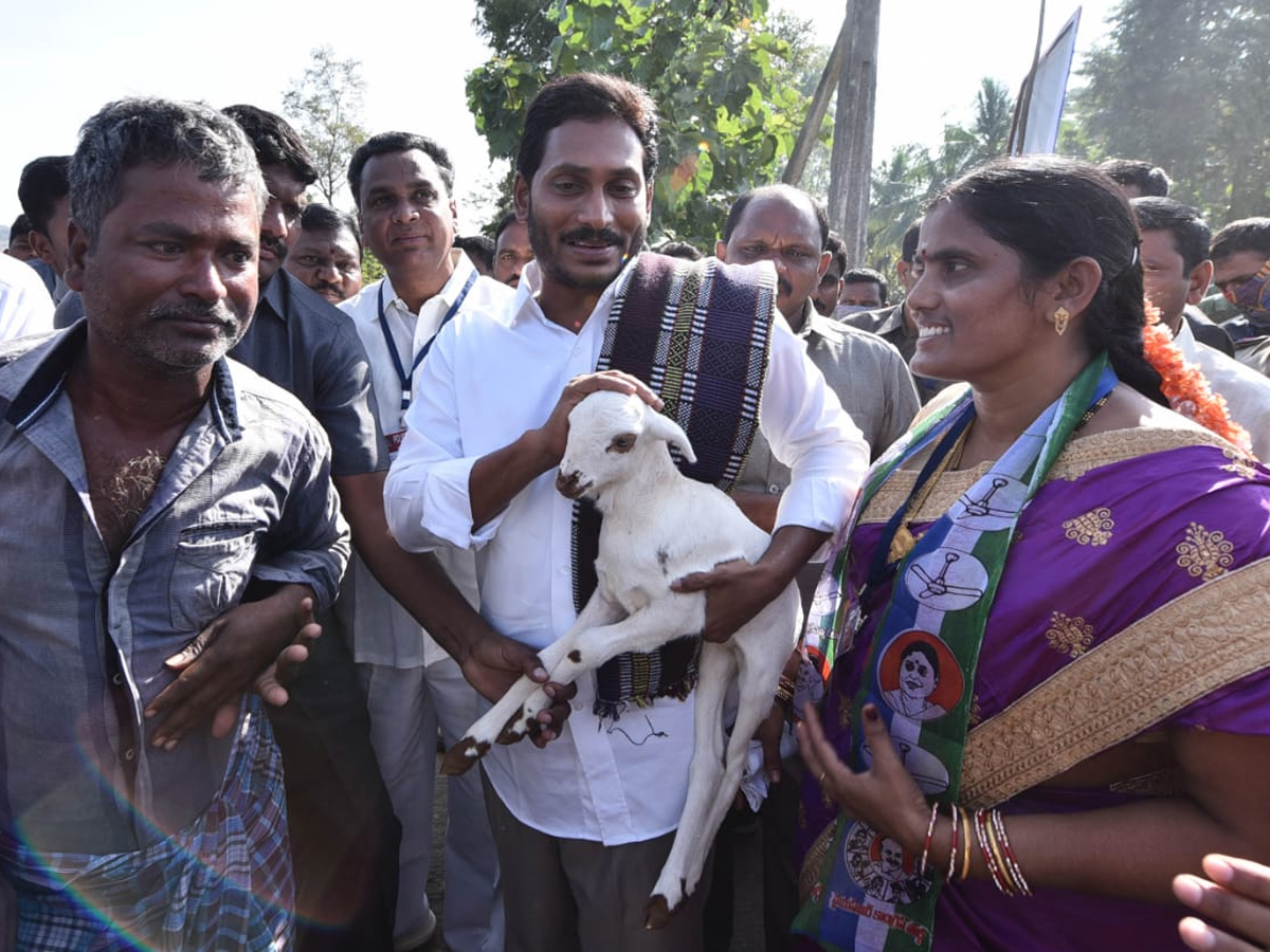 YS Jagan PrajaSankalpaYatra Day 296th Photo Gallery - Sakshi3