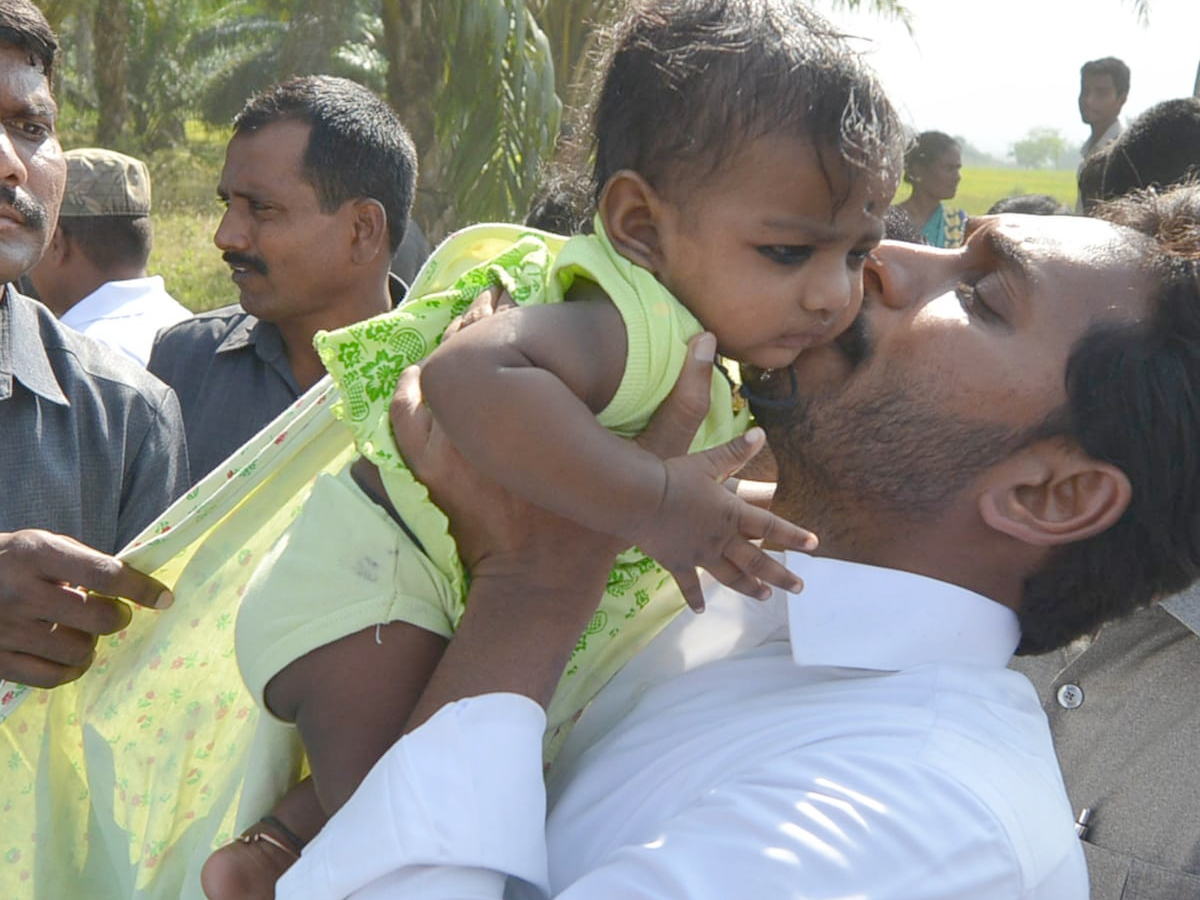 YS Jagan PrajaSankalpaYatra Day 296th Photo Gallery - Sakshi34