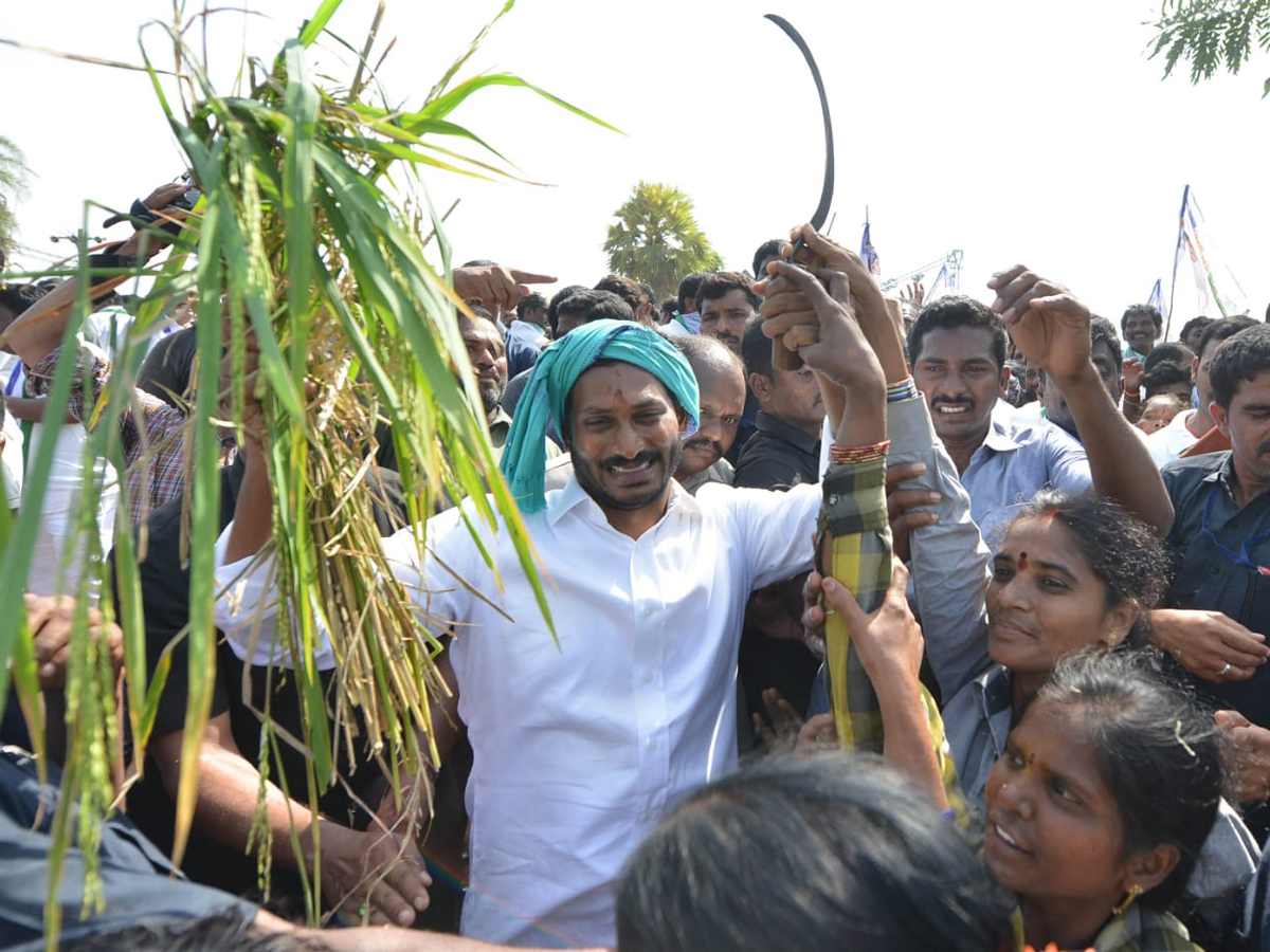 YS jagan padayatra at Vizianagaram photo gallery - Sakshi16