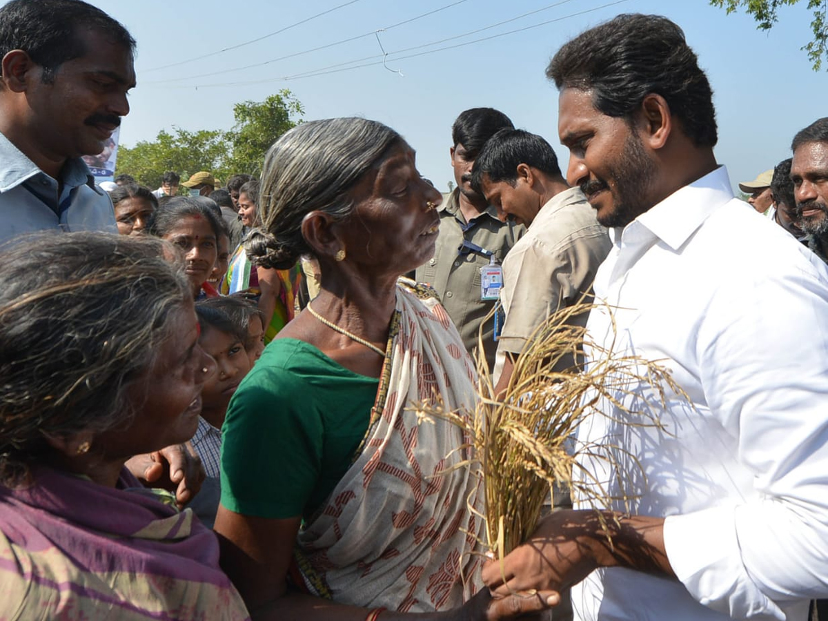 YS Jagan PrajaSankalpaYatra Day 303th Photo Gallery - Sakshi11