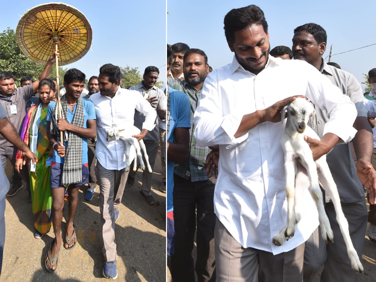 YS Jagan PrajaSankalpaYatra Day 303th Photo Gallery - Sakshi4