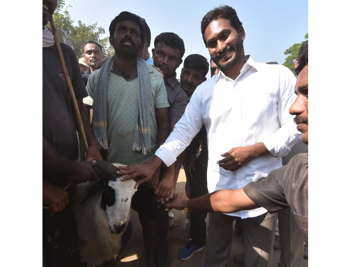 YS Jagan PrajaSankalpaYatra Day 303th Photo Gallery - Sakshi8