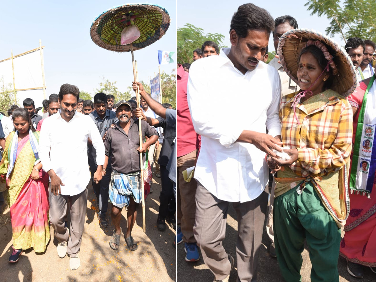 YS Jagan PrajaSankalpaYatra Day 304th Photo Gallery - Sakshi32