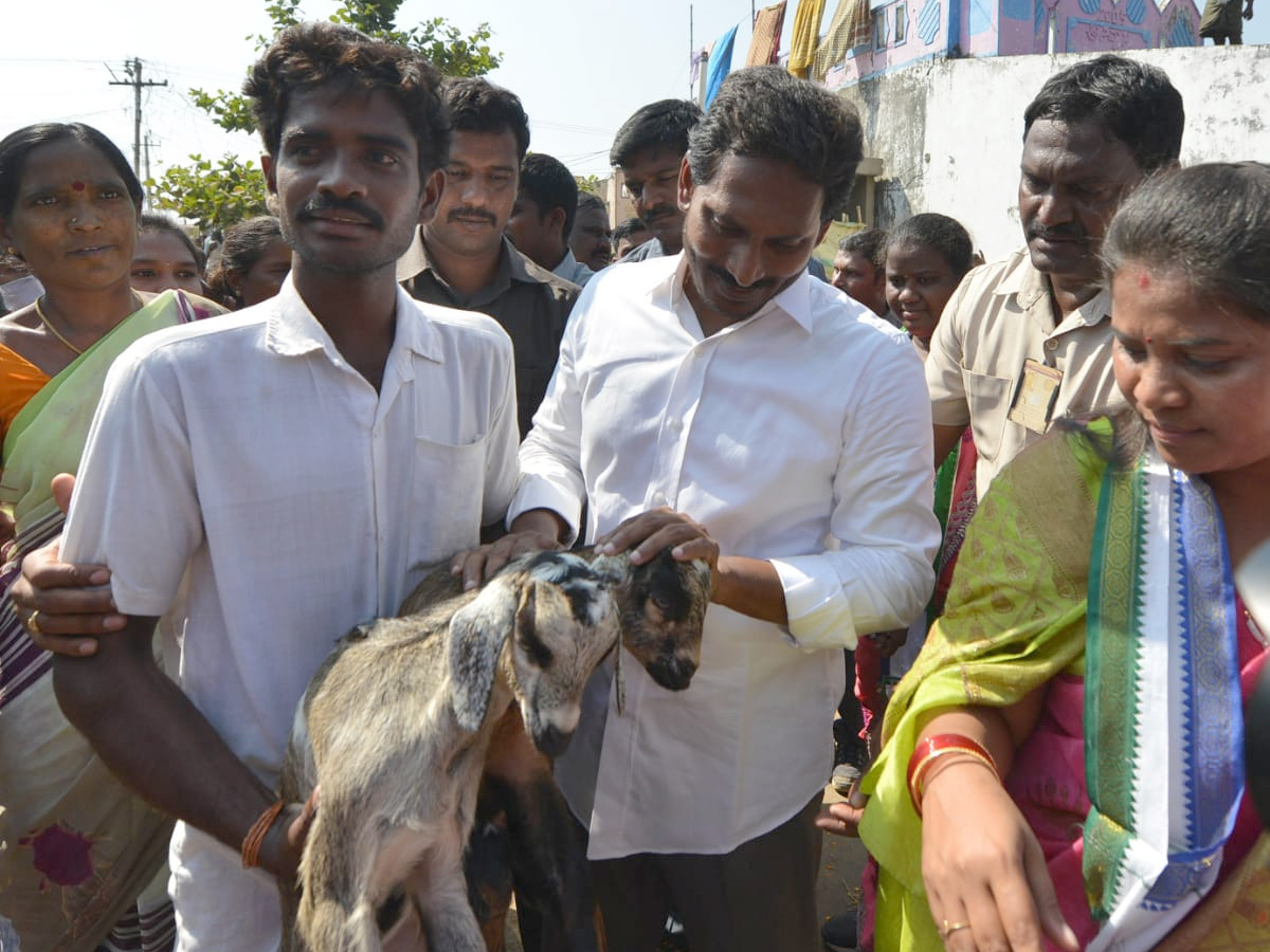 YS Jagan PrajaSankalpaYatra Day 304th Photo Gallery - Sakshi25