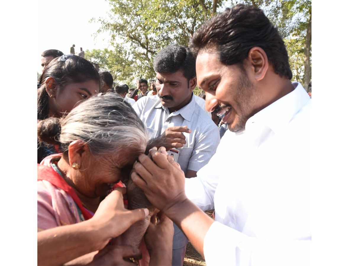 YS Jagan PrajaSankalpaYatra Day 305th Photo Gallery - Sakshi19