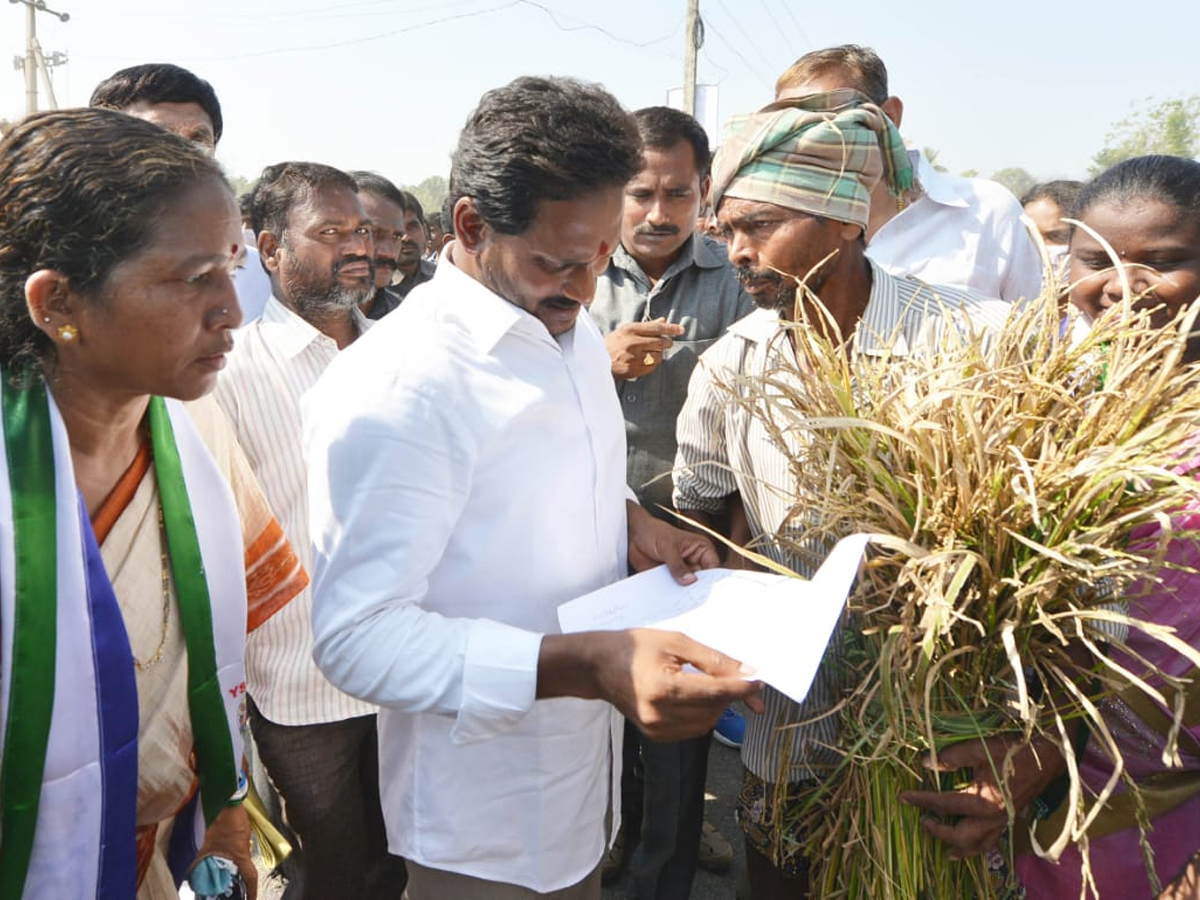 YS Jagan PrajaSankalpaYatra Day 306th Photo Gallery - Sakshi26