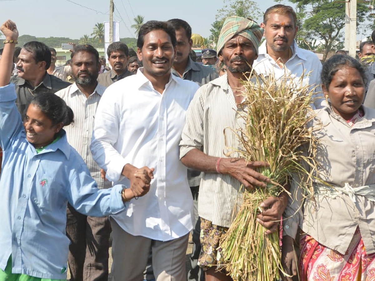 YS Jagan PrajaSankalpaYatra Day 306th Photo Gallery - Sakshi33