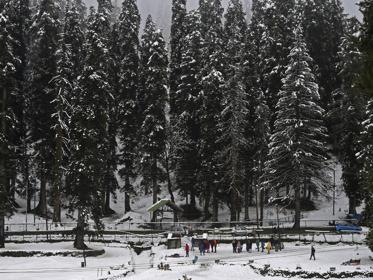 Snow in Jammu Kashmir Photo Gallery - Sakshi10