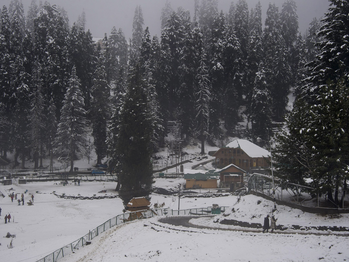 Snow in Jammu Kashmir Photo Gallery - Sakshi11