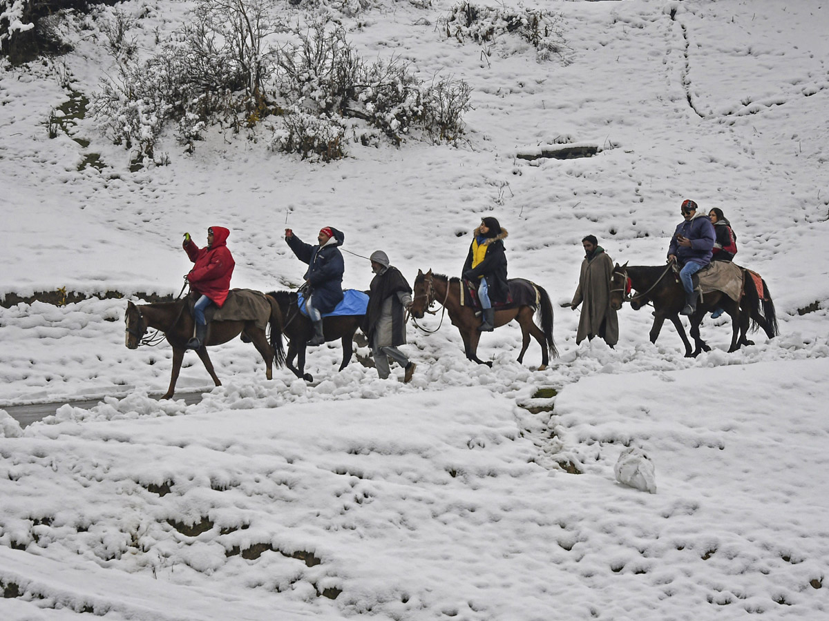 Snow in Jammu Kashmir Photo Gallery - Sakshi12