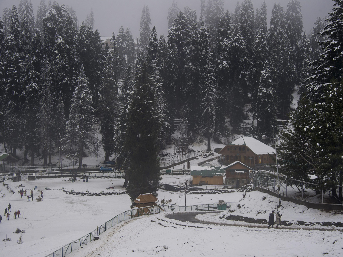 Snow in Jammu Kashmir Photo Gallery - Sakshi8