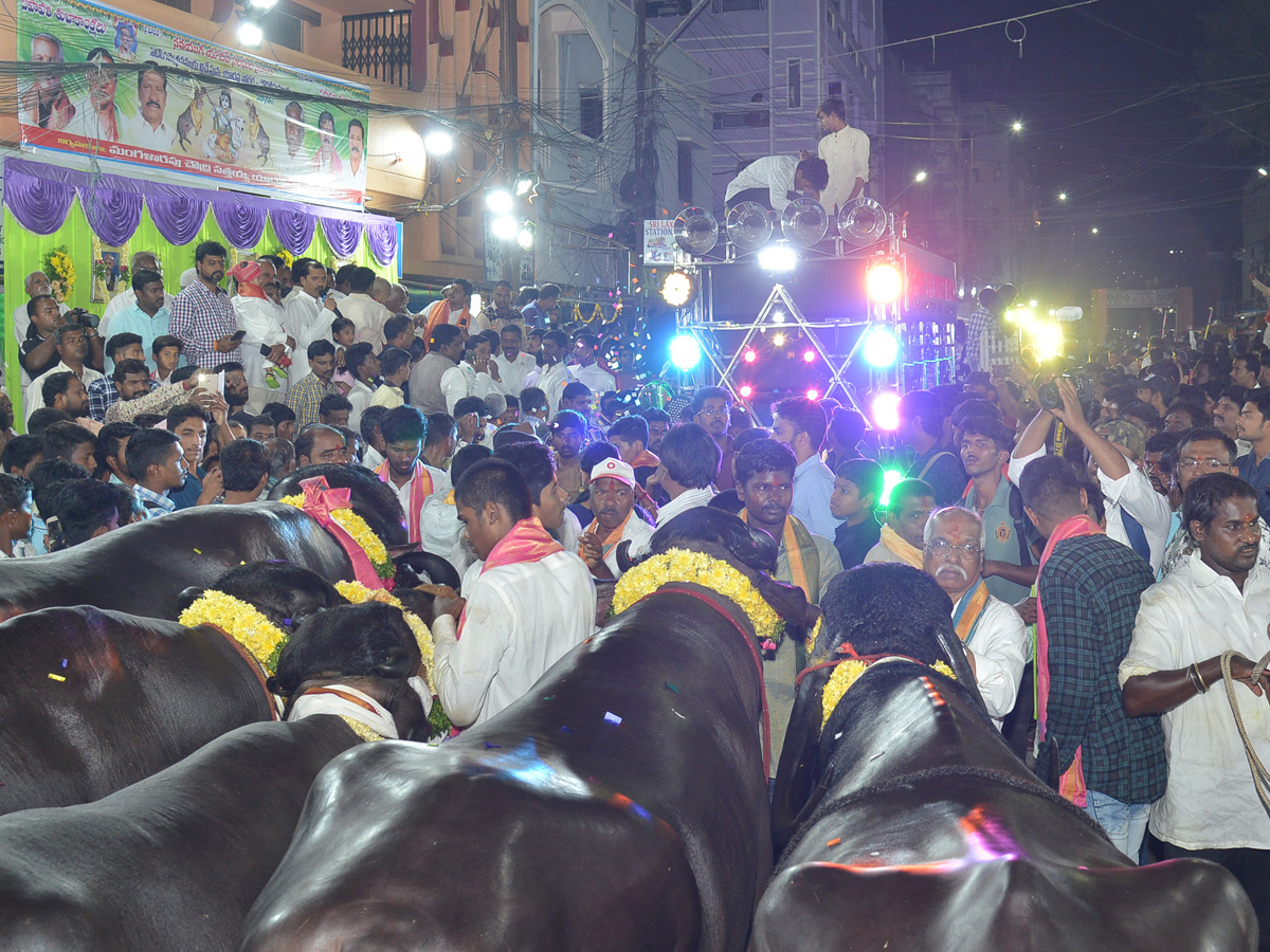 sadhar festival celebrations Photo Gallery - Sakshi11