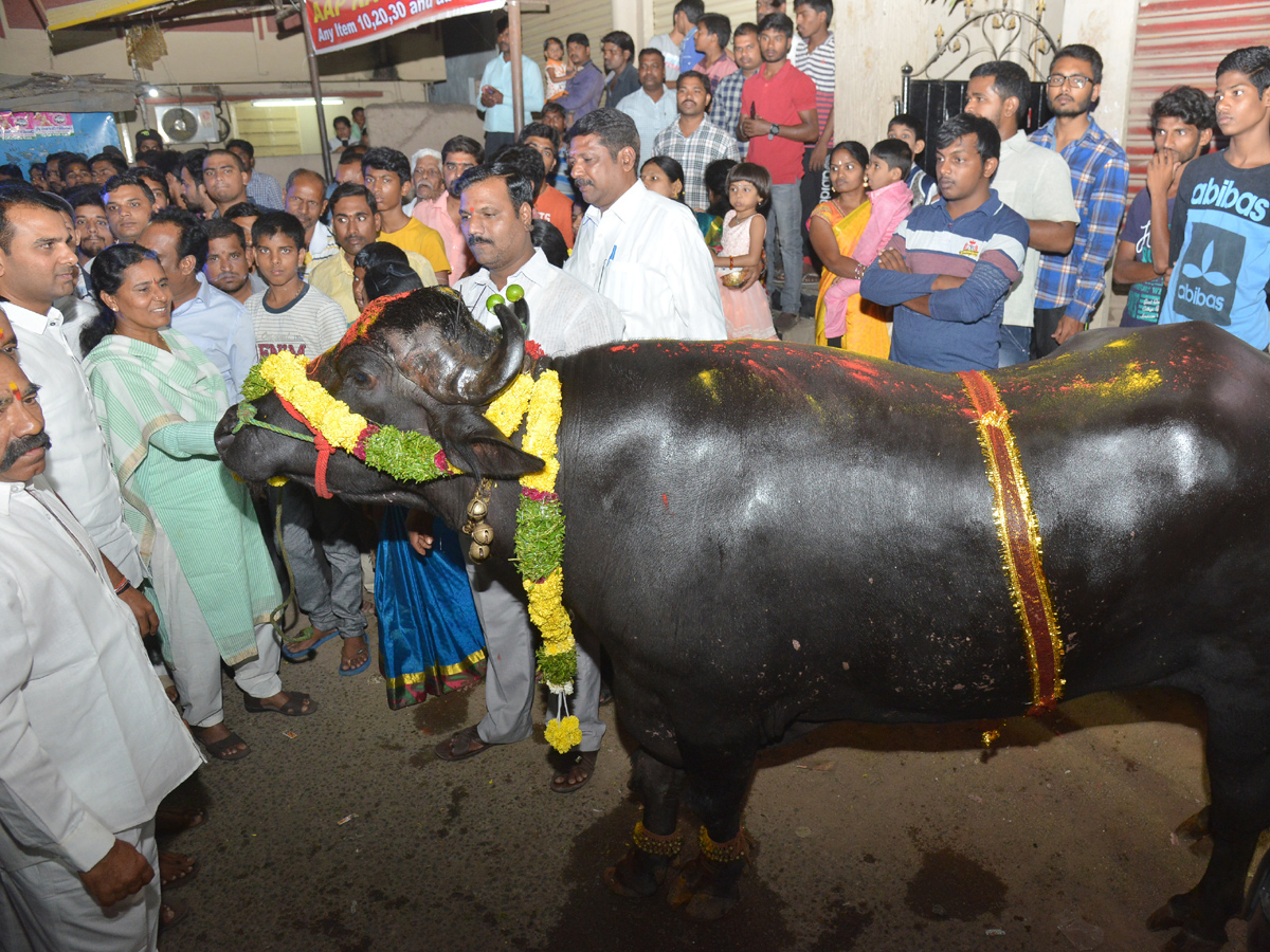 sadhar festival celebrations Photo Gallery - Sakshi4