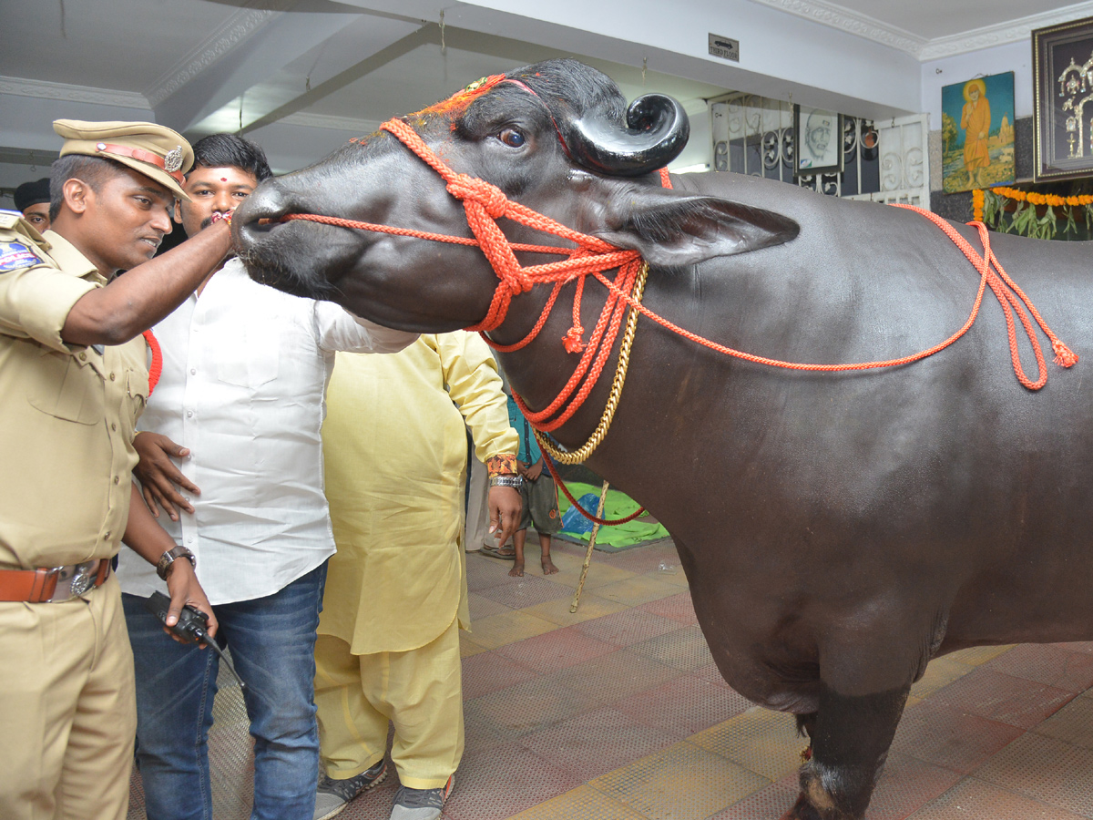 sadhar festival celebrations Photo Gallery - Sakshi9