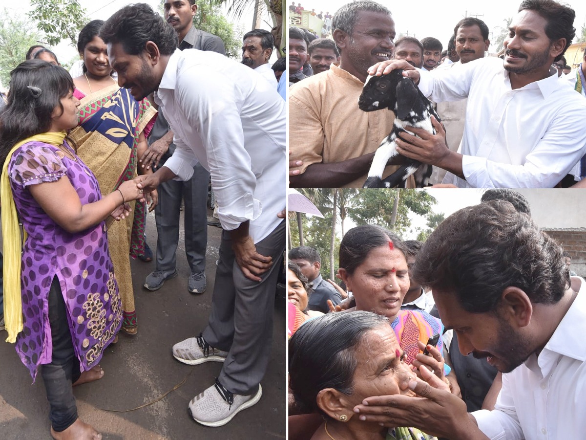 YS Jagan PrajaSankalpaYatra Day 318th Photo Gallery - Sakshi35