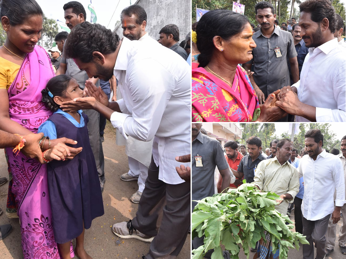 YS Jagan PrajaSankalpaYatra Day 318th Photo Gallery - Sakshi45