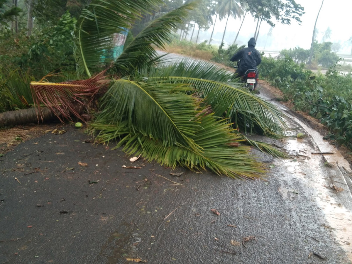 Cyclone Pethai in East Godavari Photo Gallery - Sakshi11