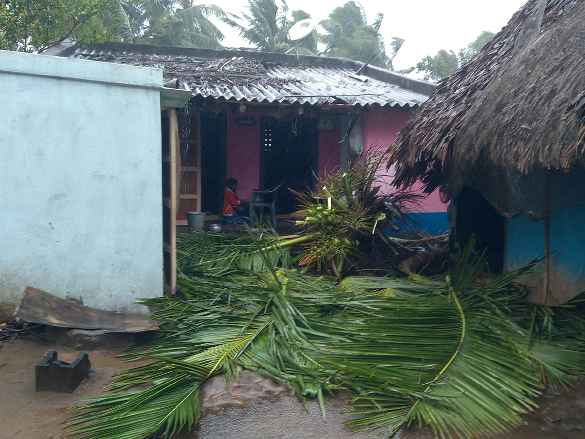 Cyclone Pethai in East Godavari Photo Gallery - Sakshi3