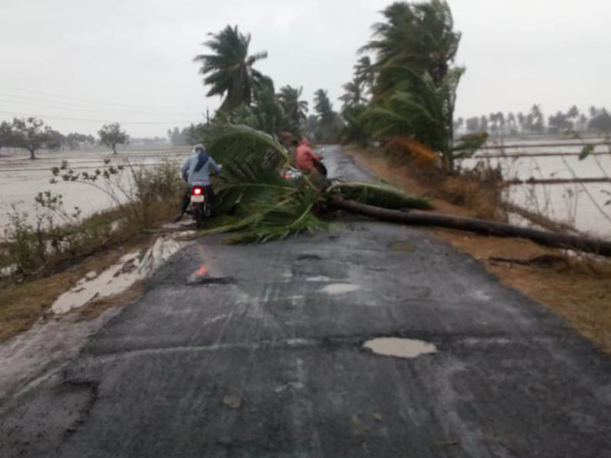 Cyclone Pethai in East Godavari Photo Gallery - Sakshi21