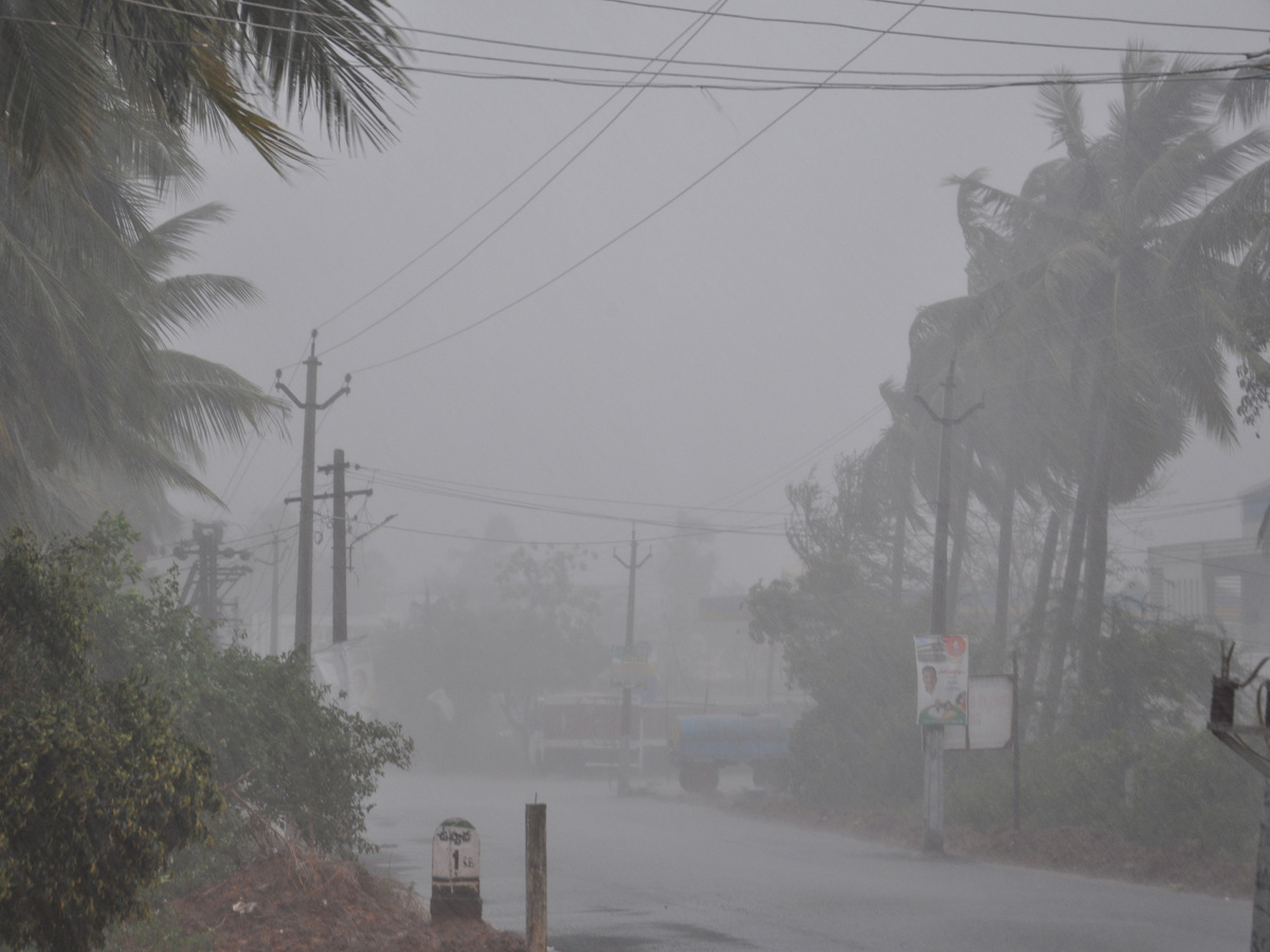 Cyclone Pethai in East Godavari Photo Gallery - Sakshi24