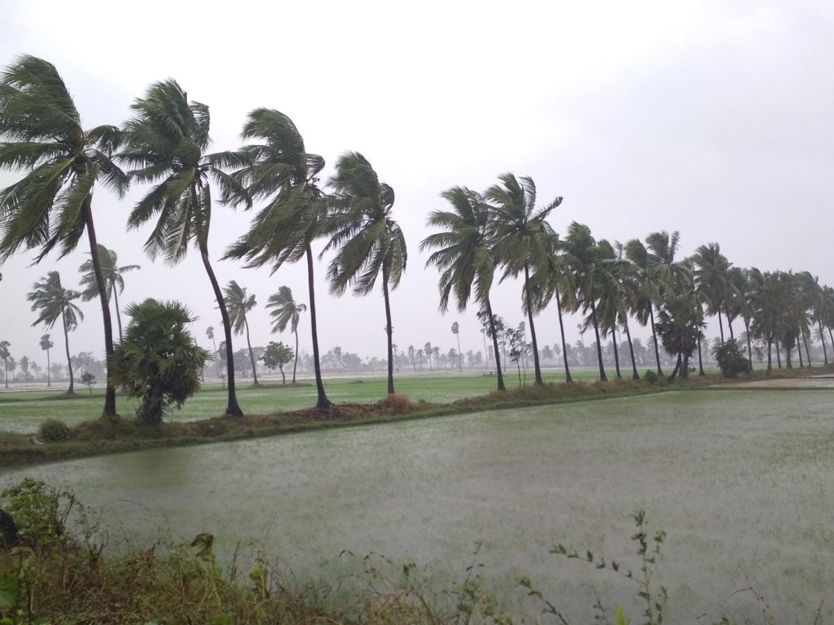 Cyclone Pethai in East Godavari Photo Gallery - Sakshi4