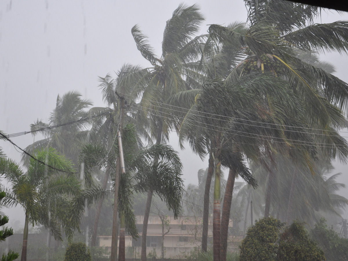 Cyclone Pethai in East Godavari Photo Gallery - Sakshi5