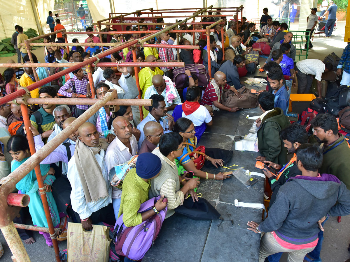 Heavy Rush Pilgrims At Tirumala Photo Gallery - Sakshi11