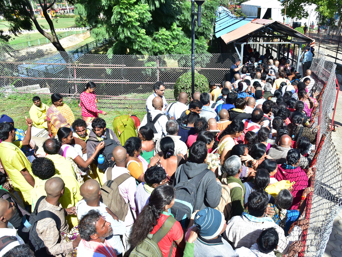 Heavy Rush Pilgrims At Tirumala Photo Gallery - Sakshi12