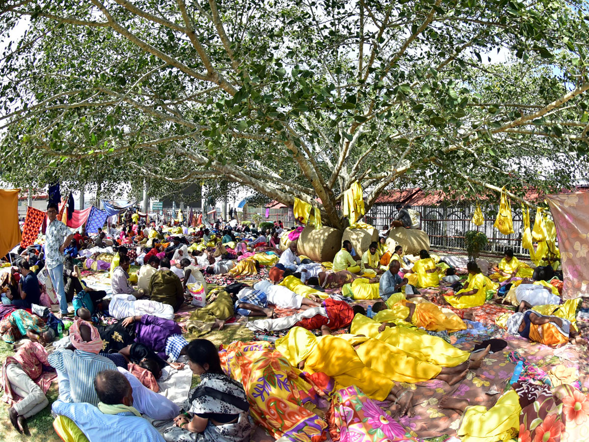 Heavy Rush Pilgrims At Tirumala Photo Gallery - Sakshi14