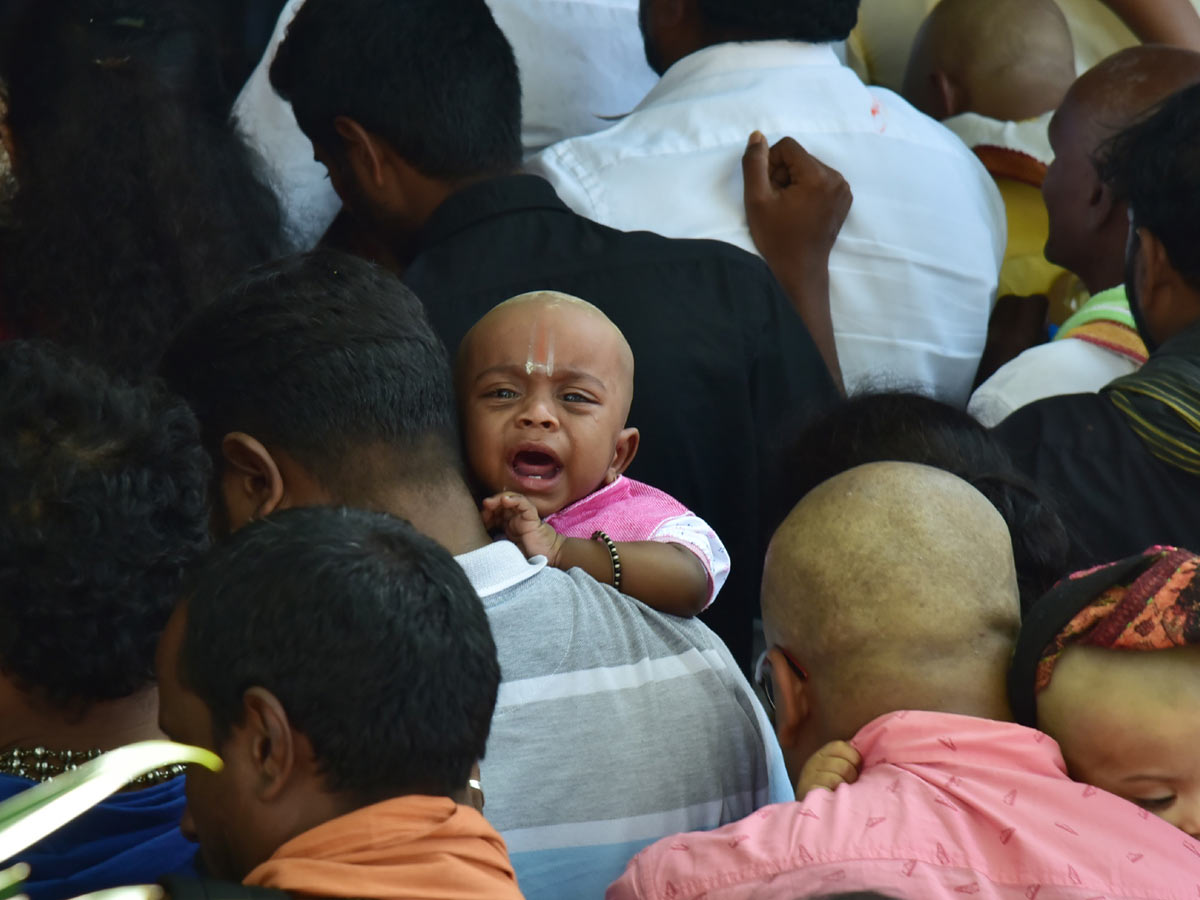 Heavy Rush Pilgrims At Tirumala Photo Gallery - Sakshi19