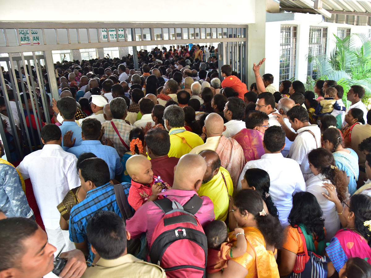 Heavy Rush Pilgrims At Tirumala Photo Gallery - Sakshi21